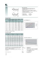 Technical Data and Characteristics of T10 Belts - Preview
