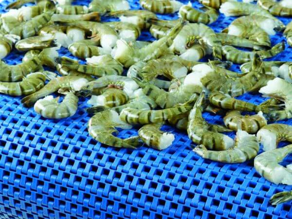 uni-chains Modular Belts