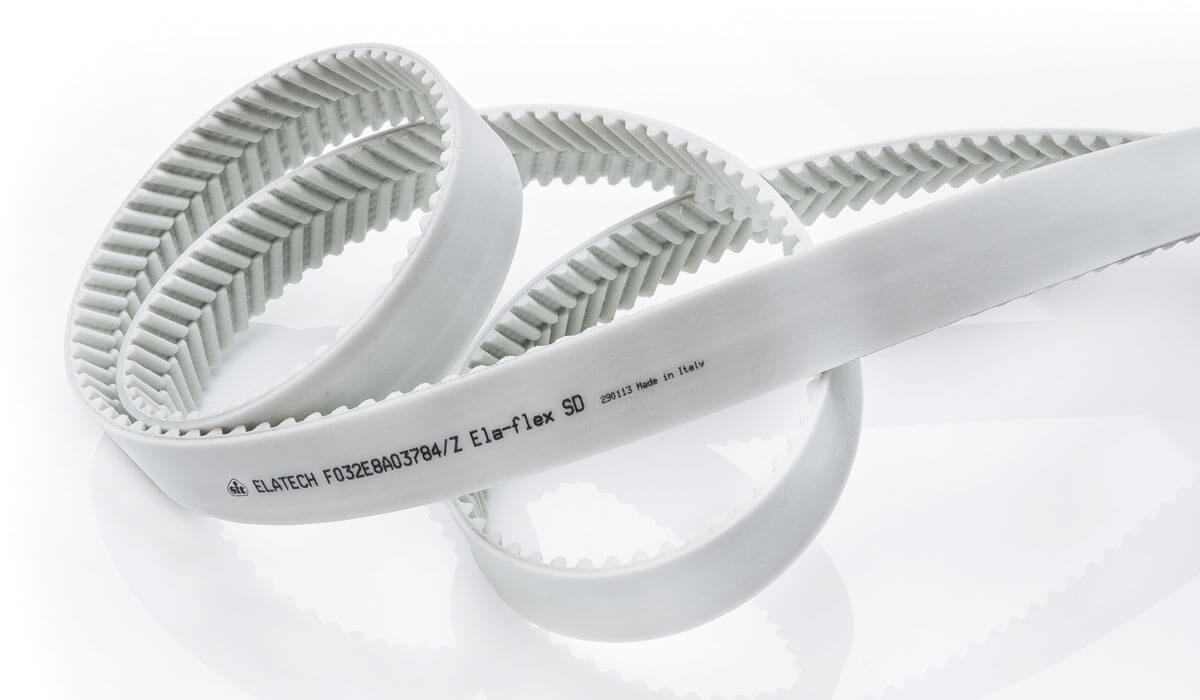 EAGLE Arrow-Shaped Belt