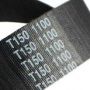Endless T150, Ne, Pu and Si Belts - Preview
