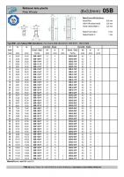 Dimensions and Parameters of 05B Plate Wheels for DIN 8187 Roller Chains - Preview