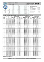 Dimensions and Parameters of 06B Plate Wheels for DIN 8187 Roller Chains - Preview