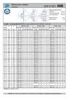 Dimensions and Parameters of 06B Sprockets with Hub for DIN 8187 Roller Chains - Preview