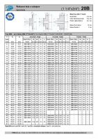 Dimensions and Parameters of 20B Sprockets with Hub for DIN 8187 Roller Chains - Preview