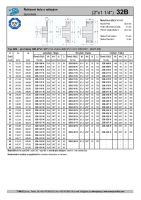 Dimensions and Parameters of 32B Sprockets with Hub for DIN 8187 Roller Chains - Preview