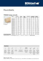 Dimensions and Parameters of 55 Shore D Polyester Round Open-Ended Belts - Preview