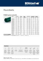 Dimensions and Parameters of 88 Shore A Polyurethane Round Open-Ended Belts - Preview