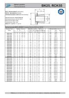 Dimensions and Parameters of BK 25 and RCK 55 Clamping Elements - Preview