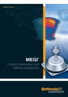 MEGI - Preview