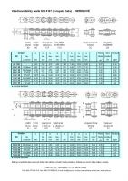 Dimensions and Parameters of Stainless Steel DIN 8187 Roller Chains - Preview