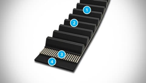 CONTI FALCON PD Belt Structure