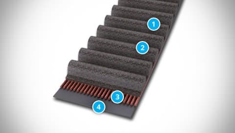 CONTI SYNCHROLINE Belt Structure