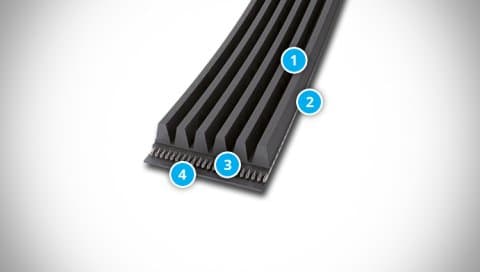 CONTI-V MULTIRIB ELAST Belt Structure