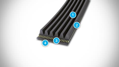 CONTI-V MULTIRIB POWER Belt Structure