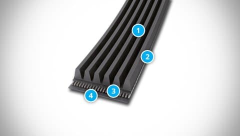 CONTI-V MULTIRIB Belt Structure