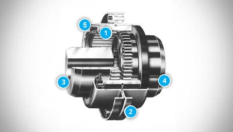 ESCOGEAR N Series Coupling Construction