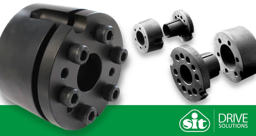 Banner: SIT SERLOCK Bushes (Illustrative Image)